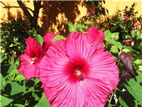 1023e30b-Picture 008.jpg